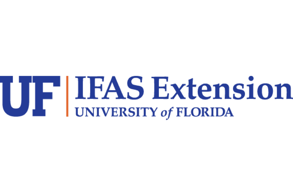 uf-ifs_box-01
