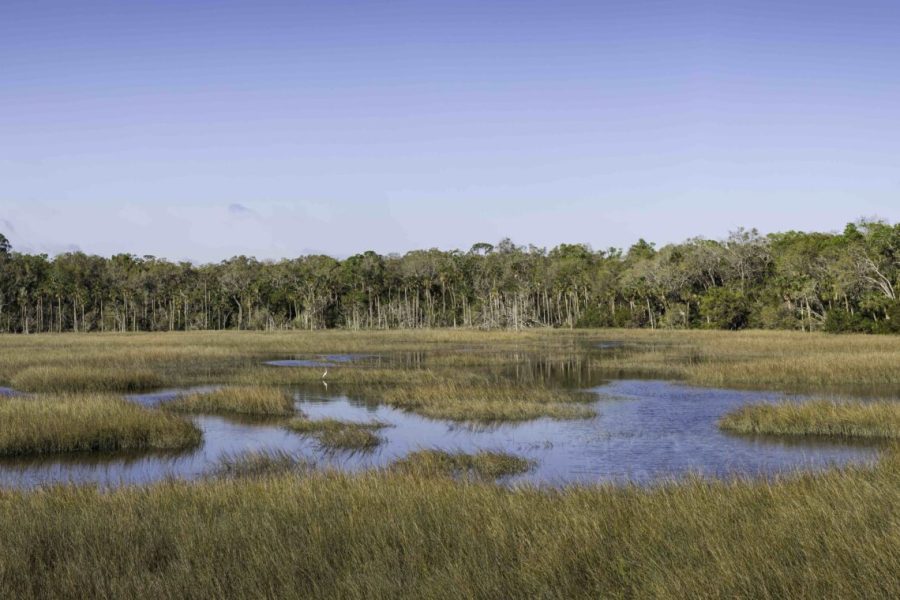 Round Marsh at the Timucuan Preserve